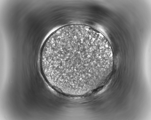 X0000084531149200703161603