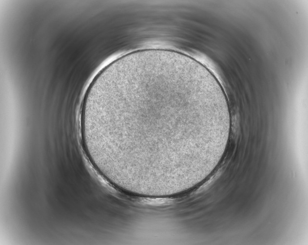 X0000084531150200703161603