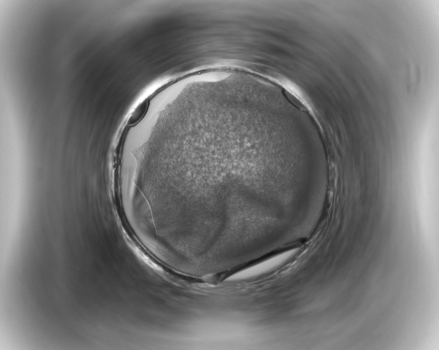 X0000084531151200703161603