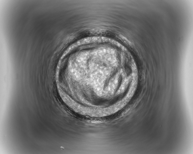 X0000084531153200703161602