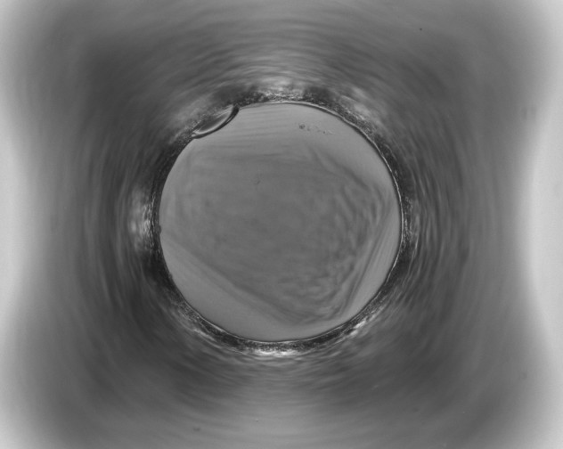 X0000084531154200703161602