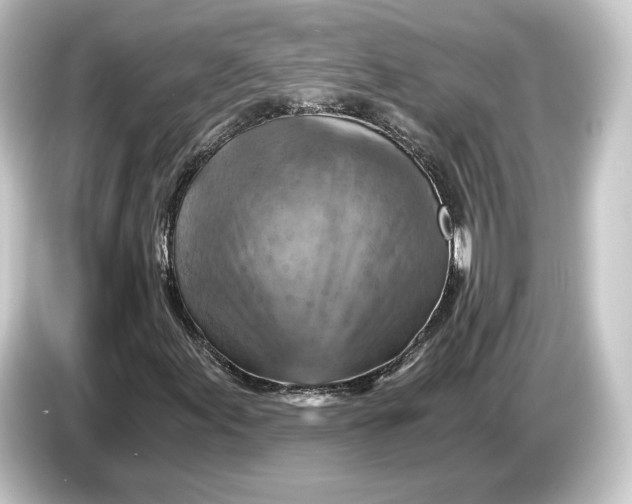 X0000084531155200703161602