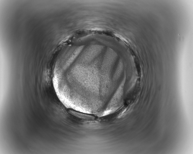 X0000084531156200703161602