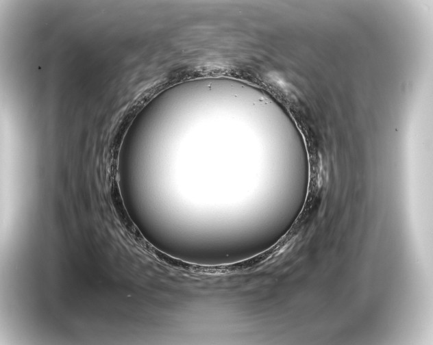 X0000084531157200703161602