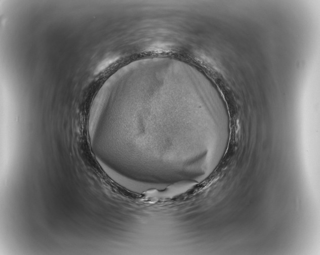 X0000084531158200703161602