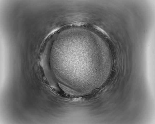 X0000084531160200703161602