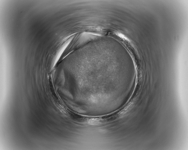 X0000084531161200703161602