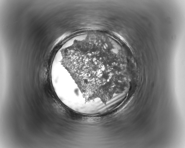 X0000084531163200703161602