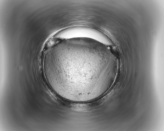 X0000084531164200703161602