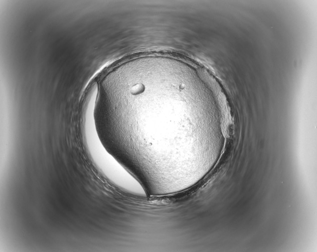 X0000084531165200703161602