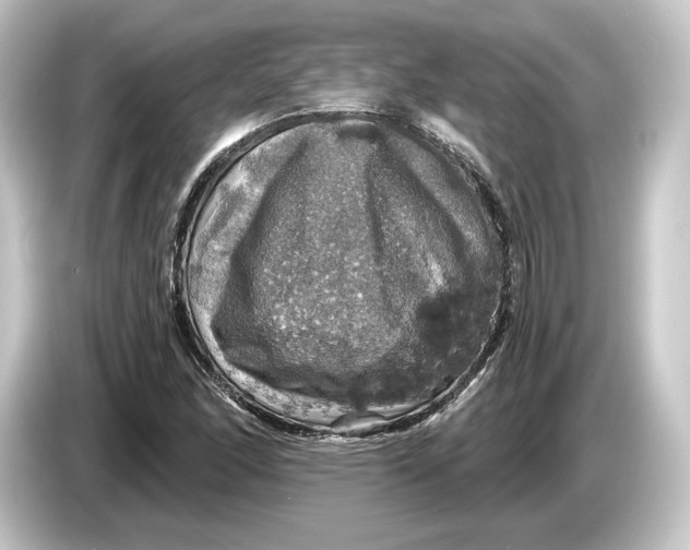 X0000084531166200703161602