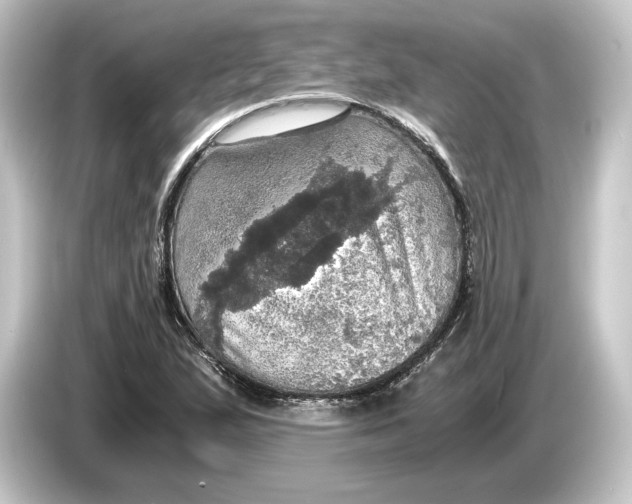 X0000084531167200703161602