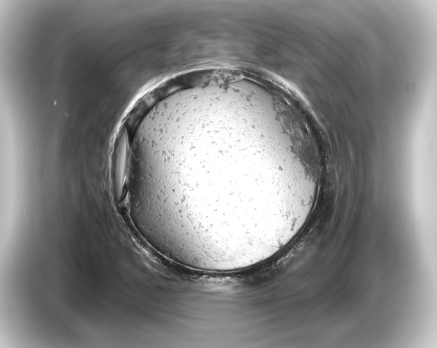 X0000084531168200703161602