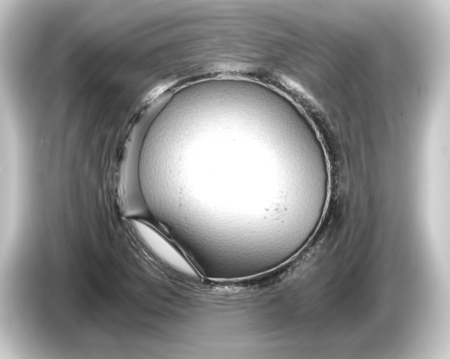 X0000084531169200703161602