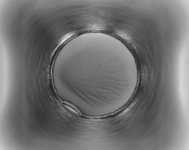 X0000084531170200703161602