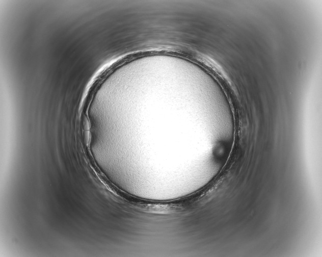 X0000084531172200703161602