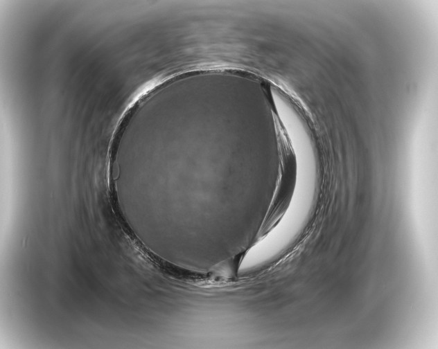 X0000084531173200703161602