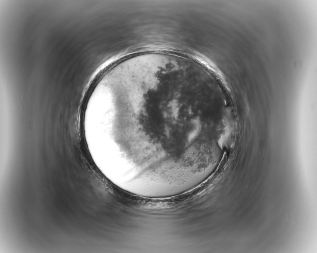 X0000084531174200703161602