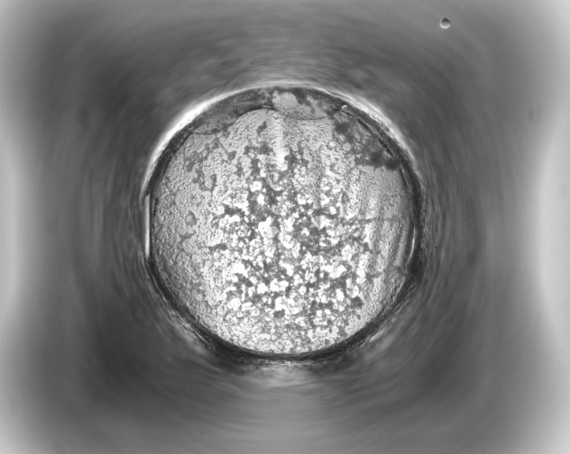 X0000084531175200703161602