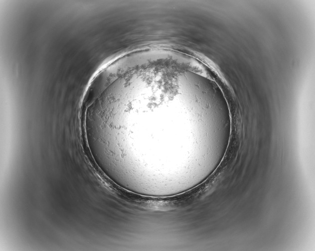 X0000084531176200703161602