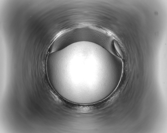 X0000084531177200703161602