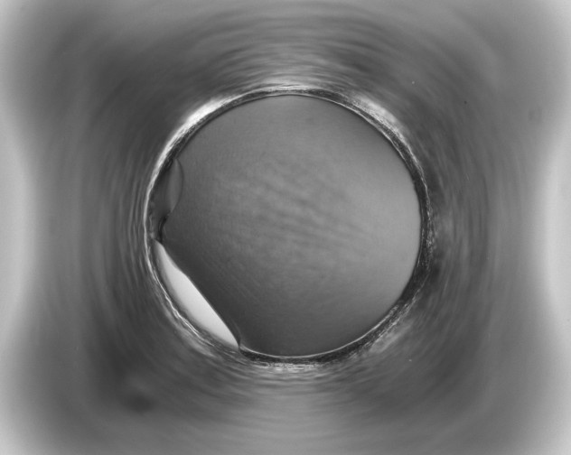 X0000084531179200703161602