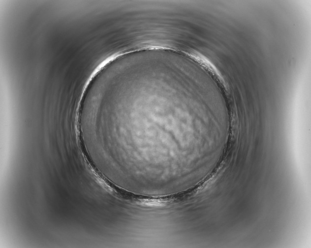 X0000084531182200703161602