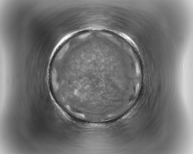 X0000084531183200703161602