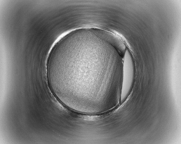 X0000084531184200703161602