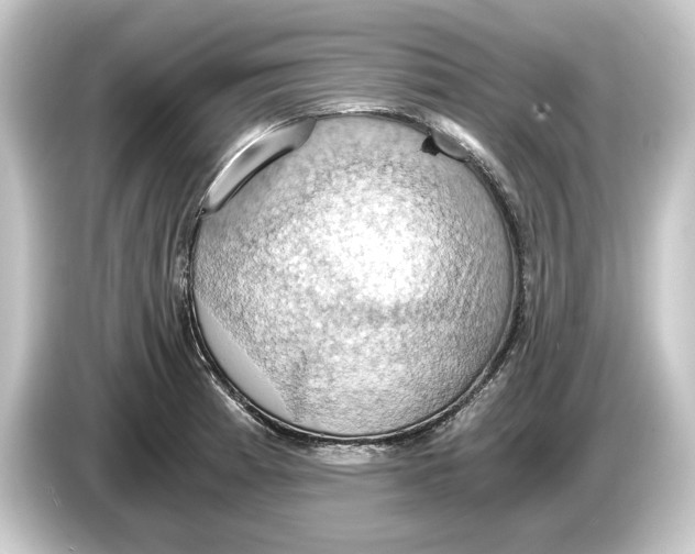 X0000084531185200703161602