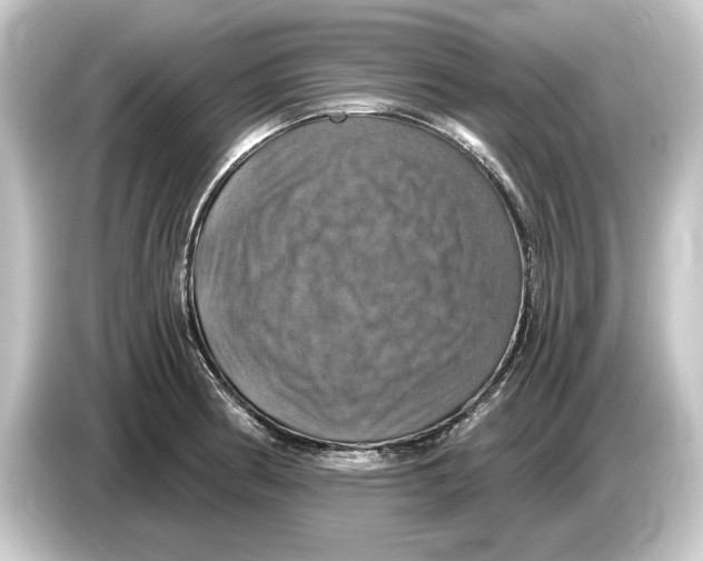 X0000084531186200703161602