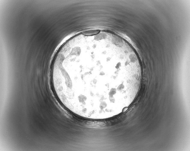 X0000084531187200703161602