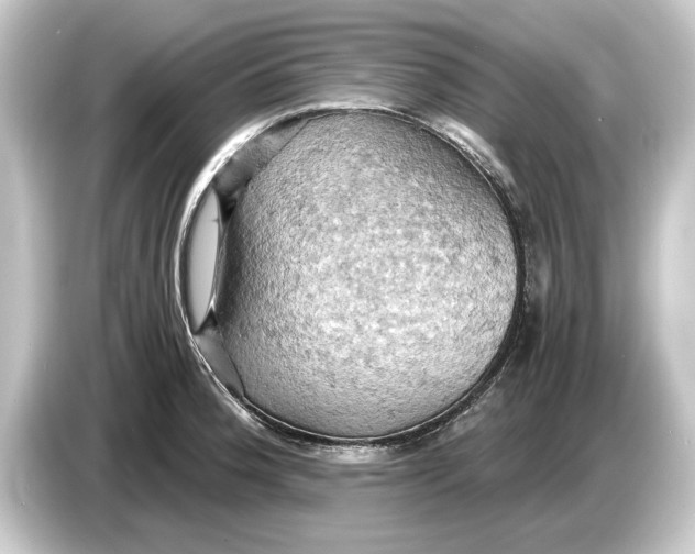 X0000084531188200703161602