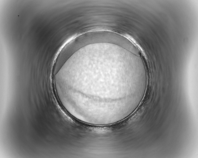 X0000084531189200703161602