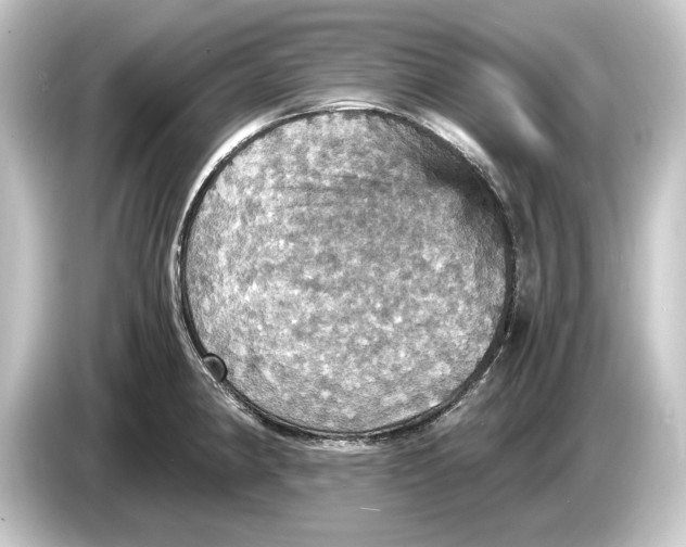 X0000084531190200703161601