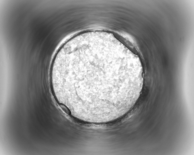 X0000084531191200703161601