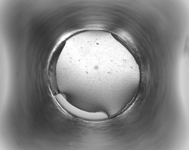 X0000084531192200703161601