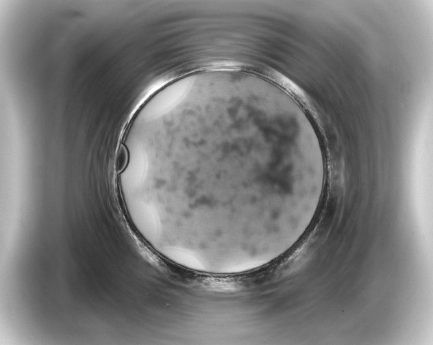 X0000084531194200703161601