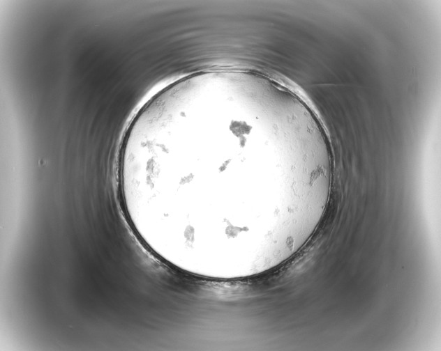 X0000084531195200703161601