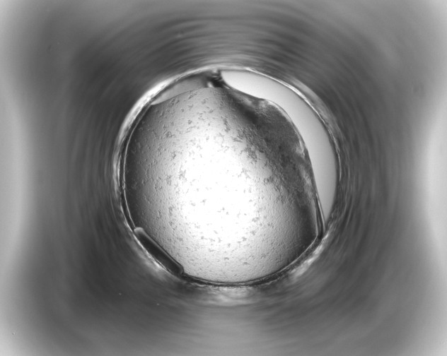 X0000084531196200703161601