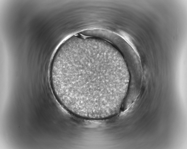 X0000084531197200703161601