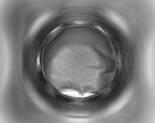 X0000084531198200703161601