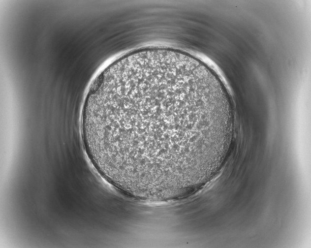 X0000084531199200703161601