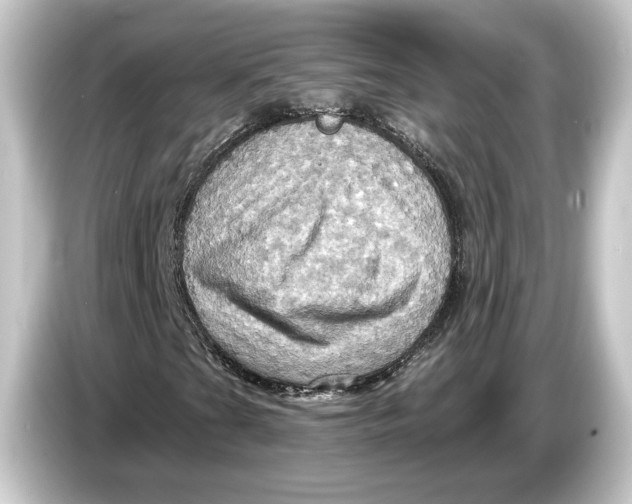 X0000084531201200703161601