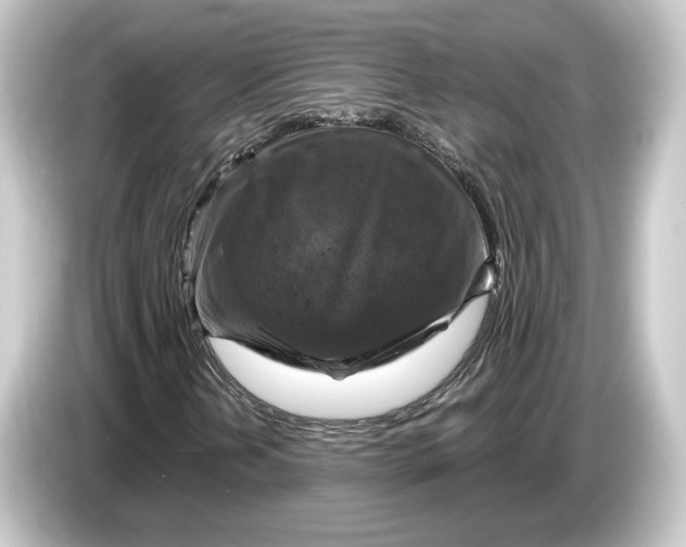 X0000084531202200703161601