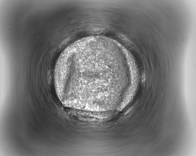 X0000084531204200703161601