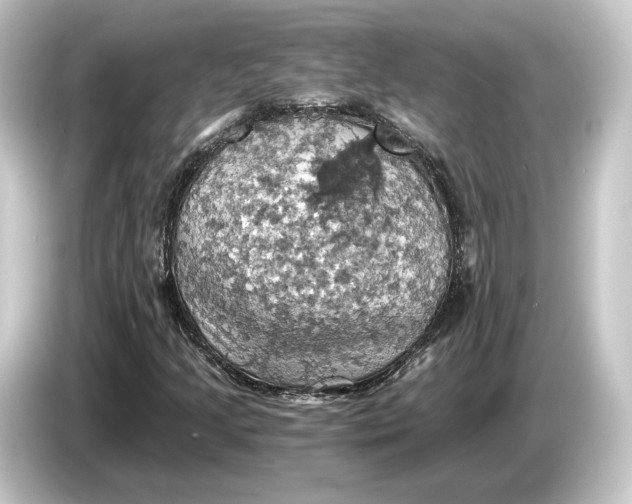 X0000084531205200703161601