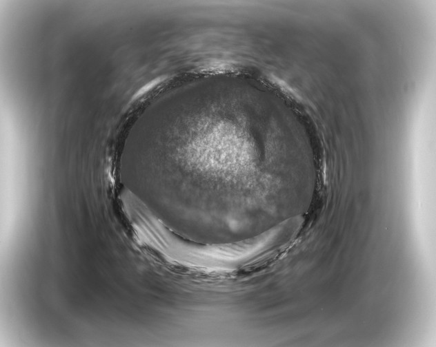 X0000084531206200703161601