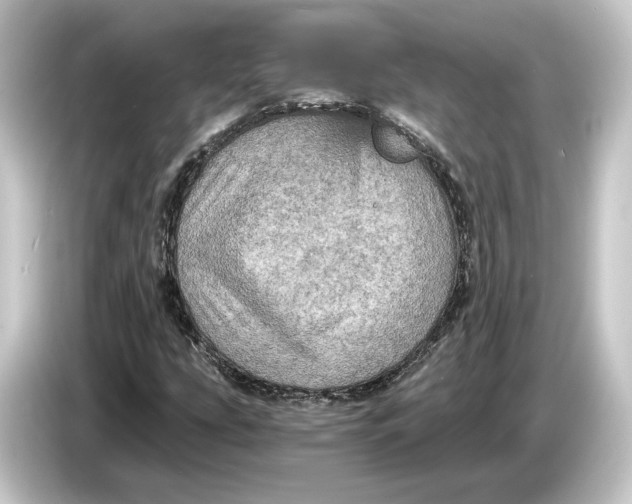 X0000084531207200703161601