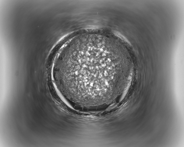 X0000084531208200703161601